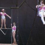 Trapeze artist with diarrhea shits on 23 people