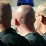 Bald men will be able to turn the sun into energy